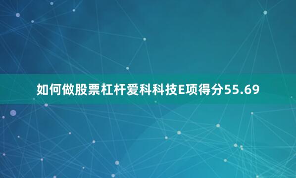 如何做股票杠杆爱科科技E项得分55.69
