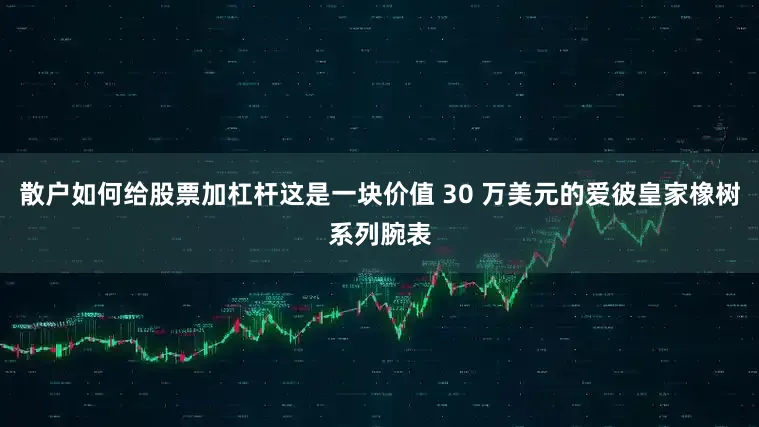 散户如何给股票加杠杆这是一块价值 30 万美元的爱彼皇家橡树系列腕表