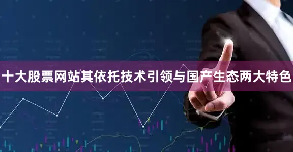 十大股票网站其依托技术引领与国产生态两大特色